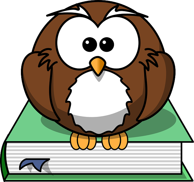 Rank 3: Mathe-Eule